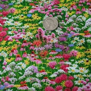 100% Cotton Fabric Elizabeth's Studio